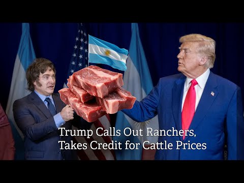 Видео: Говяжья битва Трампа