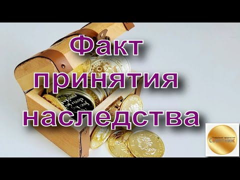 Видео: Факт принятия наследства. Фактическое принятие наследства. Какие действия? Срок? Список документов.