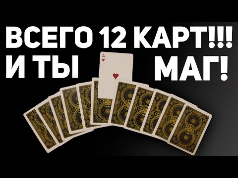 Видео: ЧУДО С 12 КАРТАМИ КОТОРОЕ УДИВИТ ЛЮБОГО!!! ЛЁГКИЕ ФОКУСЫ С КАРТАМИ ДЛЯ НАЧИНАЮЩИХ #фокусы
