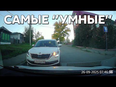 Видео: Подборка САМЫХ "УМНЫХ" водителей #1183