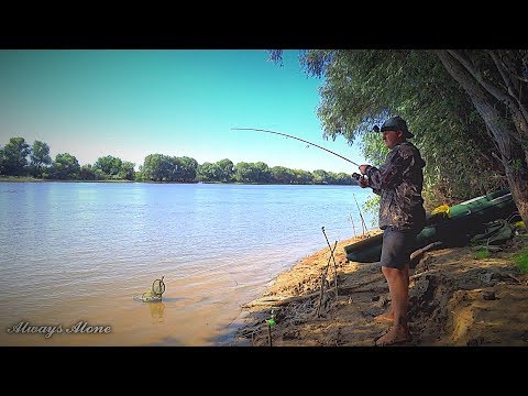 Видео: Рыбалка на закидушки, донку, спиннинг. Сом на червя, крупный карась, густера, щука, окунь, судак