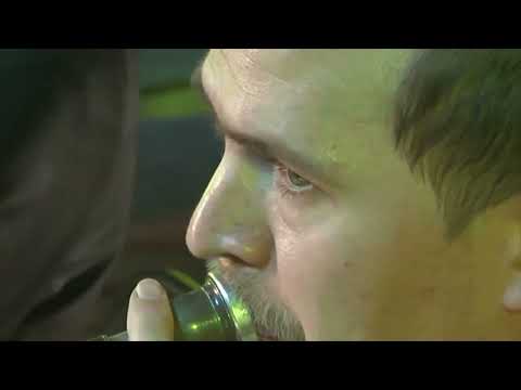 Видео: Полет шмеля