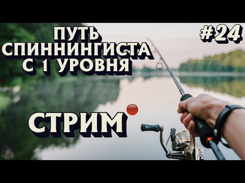 Видео: 🔴 Аккаунт спиннингиста #24 стрим 🏆 проводим ТУРНИРЫ 🎣 Русская рыбалка 4 рр4 #427