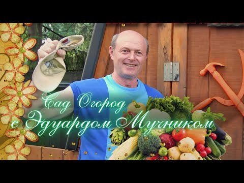 Видео: 🔴 ПРЯМОЙ ЭФИР САД ОГОРОД с Эдуардом Мучником 🔴 РАДИО ЧИКАГО