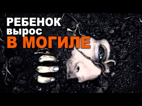 Видео: Шиповничек. Страшное проклятье погубило семью. Страшные рассказы.