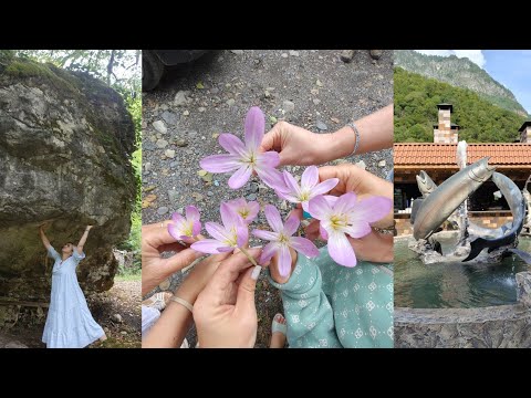 Видео: Живописная дорога на Рицу и Ауадхарские источники♨️Абхазия😍стеклянный мост😎душевные разговоры💞коровы