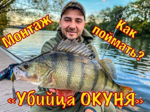 Видео: Как ПОЙМАТЬ ОКУНЯ осенью на ДЖИГ РИГ? Лучший монтаж на окуня. Спиннинг осенью. Рыбалка 2022.