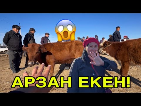 Видео: АЛДАҒАНДЫ ҚОЙЫҢ! 2-ОКТЯБР ХАЛХАБАД МАЛ БАЗАРЫ БАХАЛАРЫ АРЗАНЛАҒАН ХАЛЫҚ КӨРСИН!