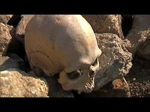 Видео: Неизвестный город - Дикий Сад (Николаев)