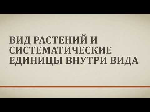 Видео: Основы фитоценологии и биогеоценологии