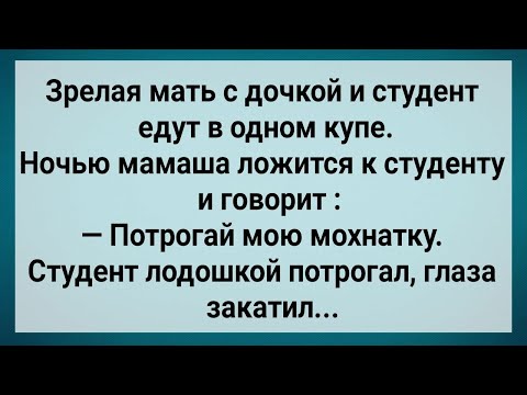 Видео: Как Зрелая Мамаша Ночью к Студенту Легла! Сборник Свежих Анекдотов! Юмор!