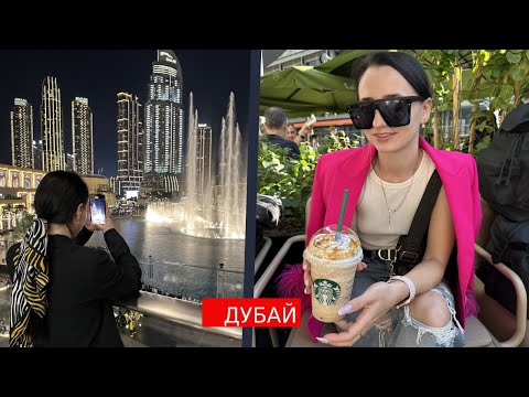 Видео: Наш крайний день в Дубае: горы, крепости, ресторан и трогательное возвращение домой 🏔️🐾
