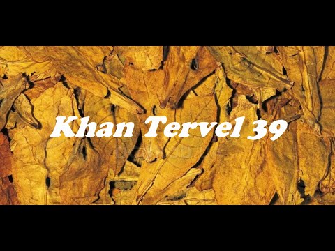 Видео: Обзор сортов. Khan Tervel 39