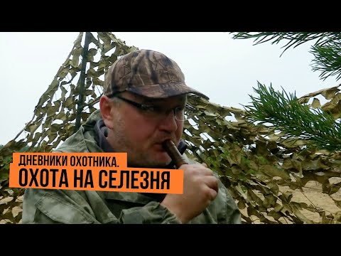 Видео: Охота на селезня \ Дневники охотника