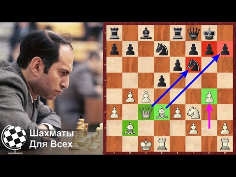 Видео: Шахматы. Первая партия Михаила Таля, получившая ПРИЗ ЗА КРАСОТУ!