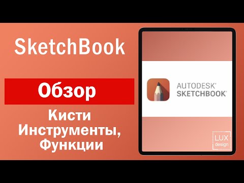 Видео: Sketchbook. Обзор. Кисти, инструменты и функции