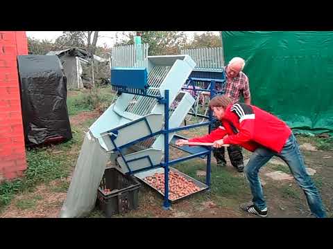 Видео: Сортировка картофеля. Ручной, мобильный сортировщик картофеля, лука и других клубнеплодов.