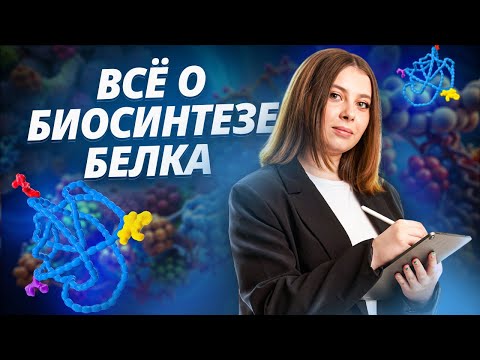 Видео: Как решать задание 27 на БИОСИНТЕЗ БЕЛКА из ЕГЭ по Биологии | Биология ЕГЭ I Умскул