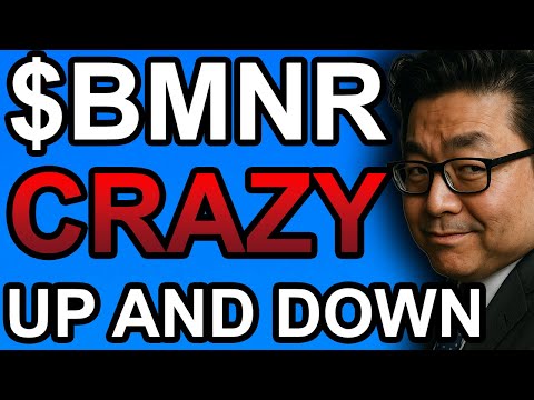 Видео: Если вы являетесь акционером $BMNR... ПРИГОТОВЬТЕСЬ