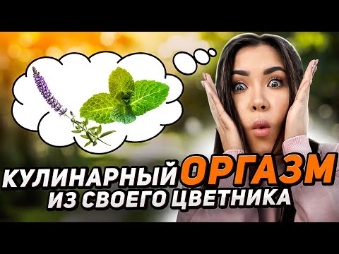 Видео: Вас Очаруют Эти Ароматы! Душистые Цветы Для Вашего Сада