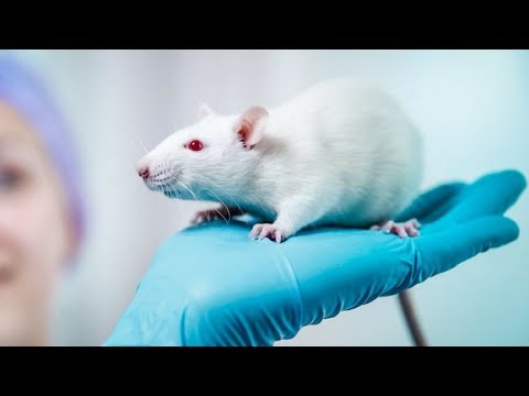 Видео: 1.1. Доклинические исследования оригинальных лекарственных препаратов