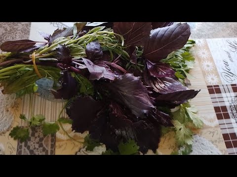 Видео: Խառը կանաչին երկար պահելու 3տարբերակ/3 способа сохранить смешанную зелень надолго