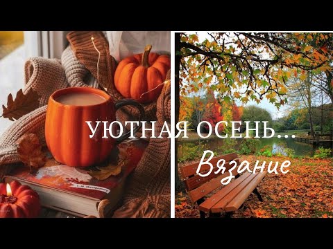 Видео: Ближайшие планы / Покупки/ Как быть с подмотом?