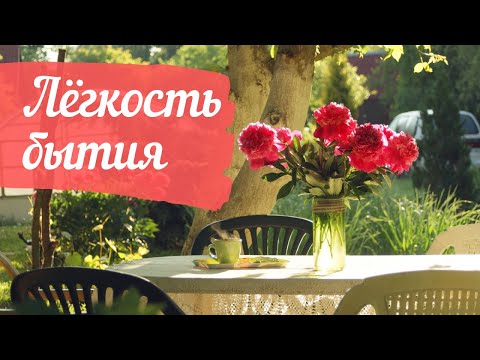 Видео: Лёгкость бытия