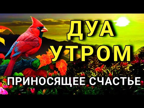 Видео: ДУА ДЛЯ ПРИВЛЕЧЕНИЯ СЧАСТЬЯ И УДАЧИ! 🤲✨😊