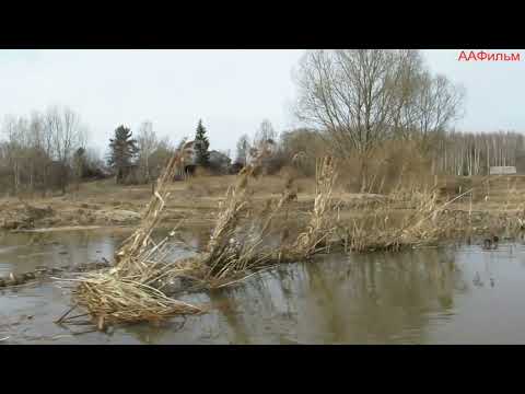 Видео: Весенний сплав по рке Сунжа