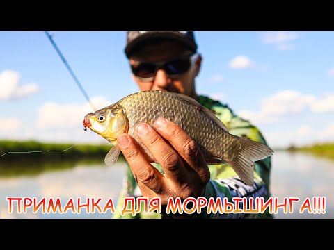 Видео: ПРИМАНКА для МОРМЫШИНГА 💪💪💪 Карась на КУРИНУЮ лапку 😁