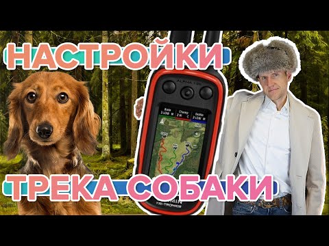 Видео: Удобные настройки трека собаки на охотничьих навигаторах Garmin Alpha 100