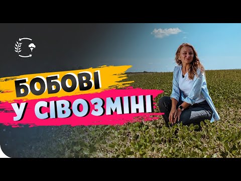 Видео: СОЯ ТА ГОРОХ🌱.  ЩО КРАЩЕ СІЯТИ ПЕРЕД БОБОВИМИ? #ОсновиЗемлеробства