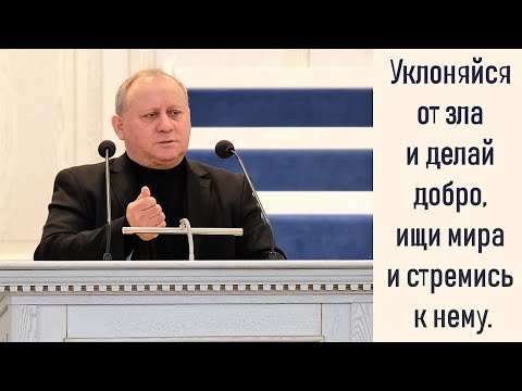 Видео: Ответы на вопросы  и проповедь. | ``Делай добро, ищи мира и стремись к нему`` | Степан Янюк