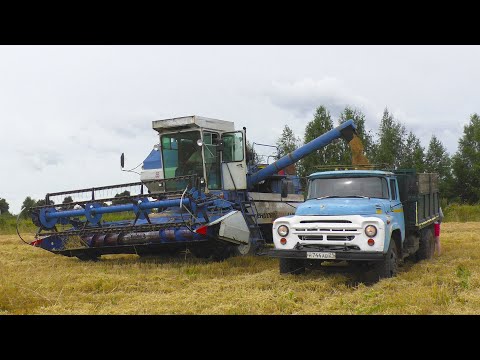 Видео: Енисей 1200 1НМ на уборке пшеницы