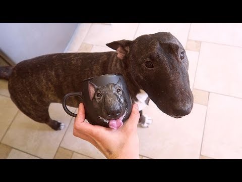 Видео: vlog бурчу на градостроителей - Senya Miro