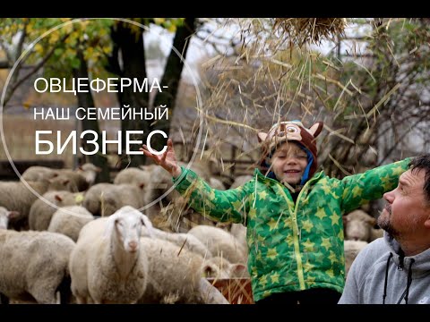 Видео: Овцеферма - наше семейное дело