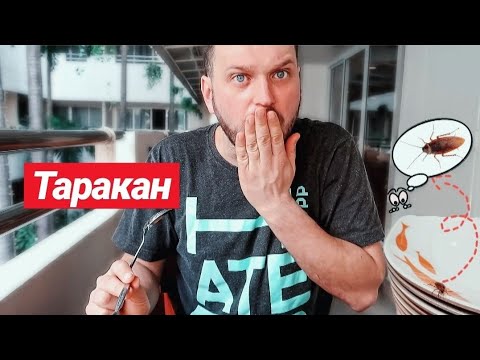 Видео: ТАРАКАН В ТАРЕЛКЕ || FOOD PARK В CENTRAL FESTIVAL ПАТТАЙЯ
