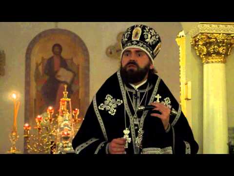 Видео: В чем сила человека