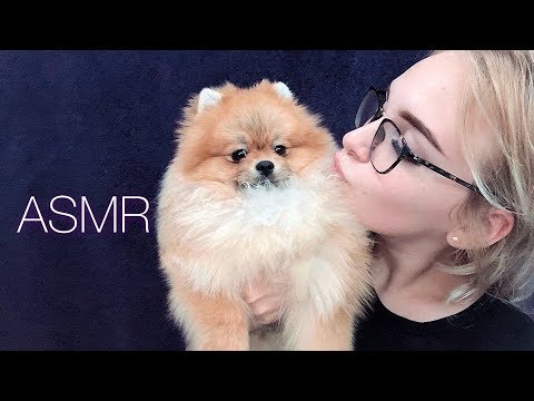Видео: АСМР Собака кушает/ ASMR Dog Eating 🐾