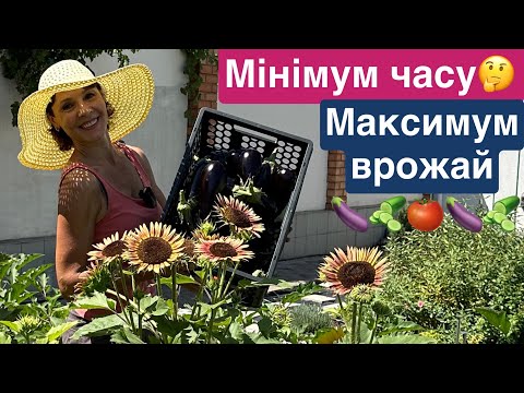 Видео: МАЮ ВРОЖАЙ без зайвих зусиль! На городі баклажани🍆кабачки🥒огірки в теплиці