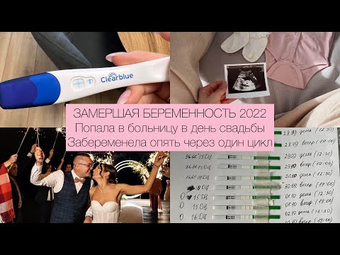 Видео: ЗАМЕРШАЯ БЕРЕМЕННОСТЬ 2022/ПОПАЛА В БОЛЬНИЦУ В ДЕНЬ СВАДЬБЫ/НОВАЯ БЕРЕМЕННОСТЬ ЧЕРЕЗ ОДИН ЦИКЛ