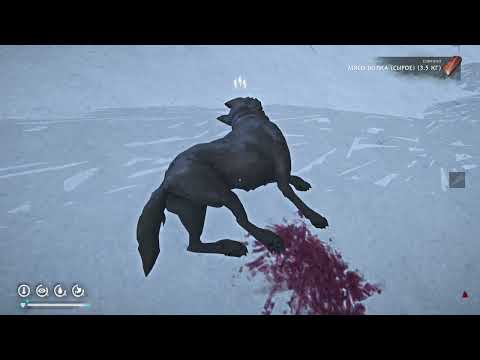 Видео: The Long Dark \ Шуба из Медведя \ Варешки из кролика \