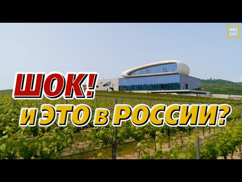 Видео: Винодельни: невероятно красивые места для отдыха