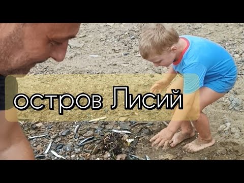 Видео: Ловим руками анчоуса на необитаемом острове Лисий, город Находка, 2 августа 2023 год
