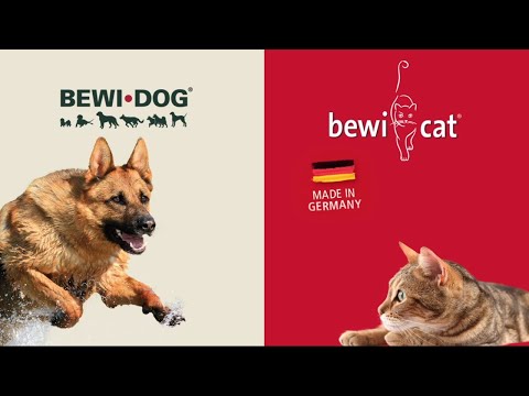 Видео: Немецкие корма для собак Bewi Dog и для кошек Bewi Cat | Вебинар 2021