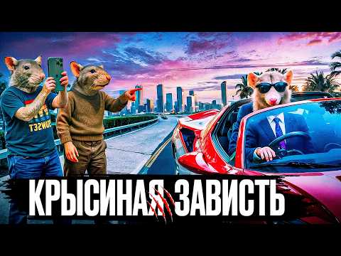Видео: Почему ты чувствуешь себя Бедным? (даже если у тебя есть деньги)