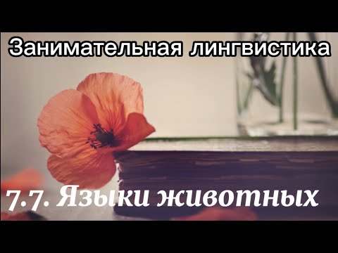 Видео: 7.8. Языки животных