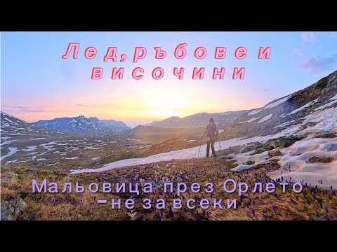 Видео: До връх Мальовица по Североизточния ръб – Орлето, Додов връх и Зелени рид | Рила, част 2