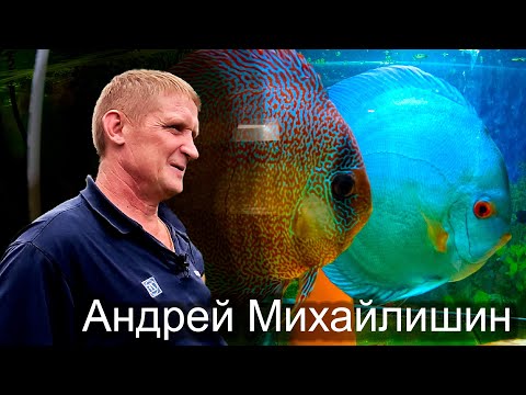 Видео: Дискусы Михайлишина Андрея